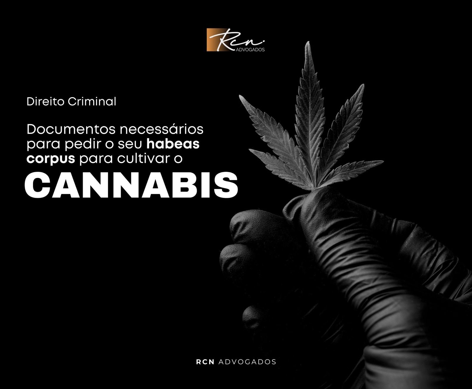 APRENDA O PASSO A PASSO PARA CONSEGUIR AUTORIZAÇÃO DE USO DE CANNABIS E